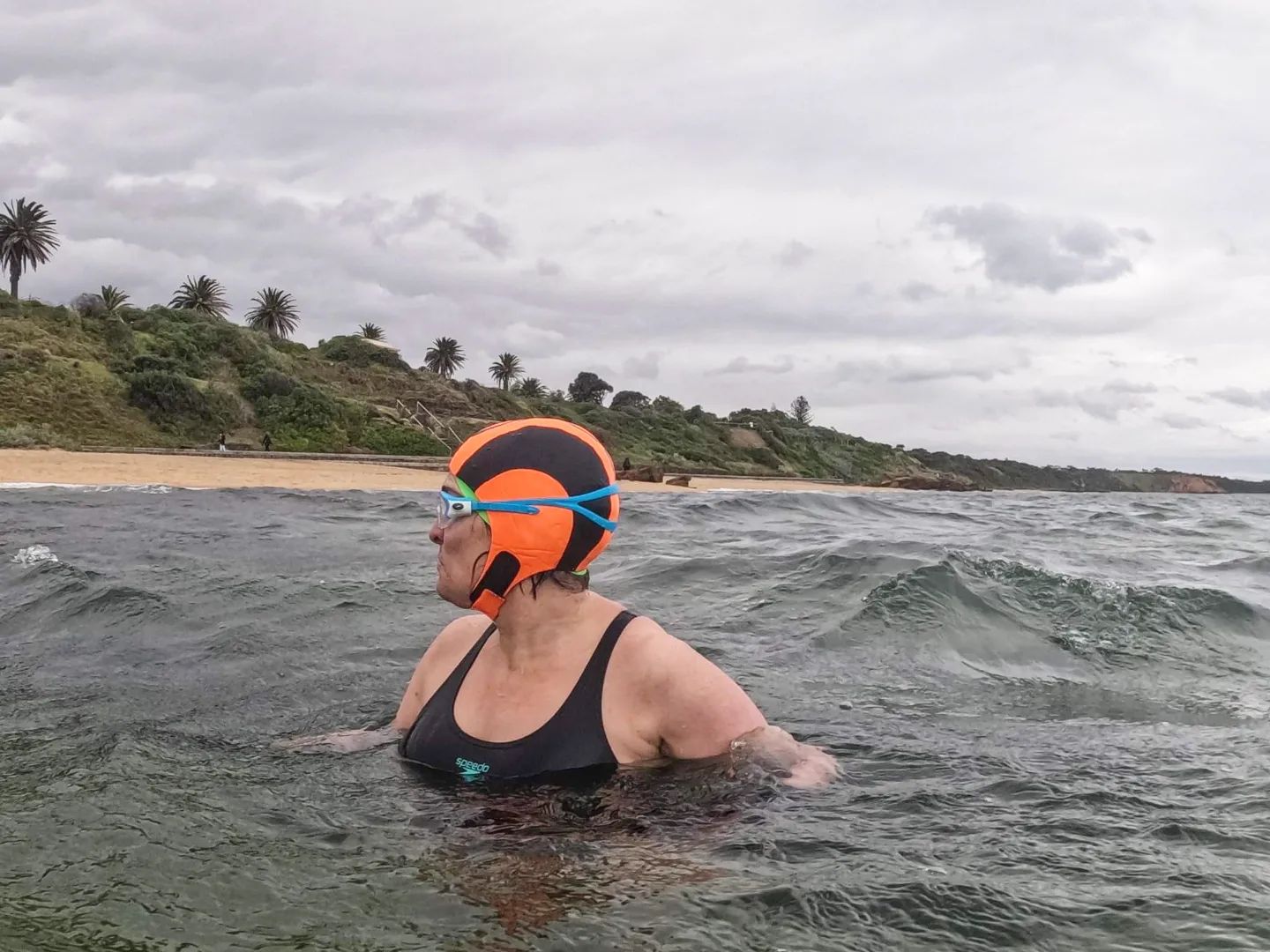 swimming-sandringham-life-saving-club